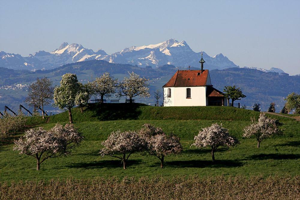 Zum Seglerhafen - Ferienappartement Kressbronn am Bodensee Luaran gambar